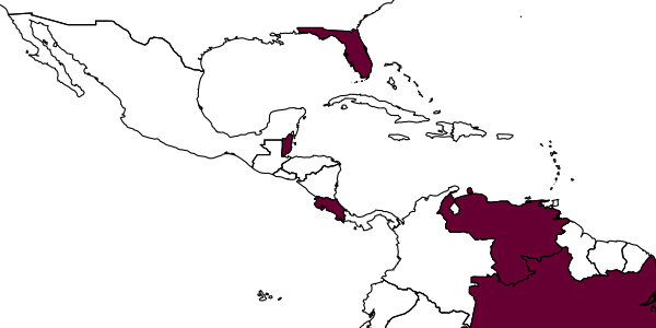 map of Krokella fera     Huber, 1993